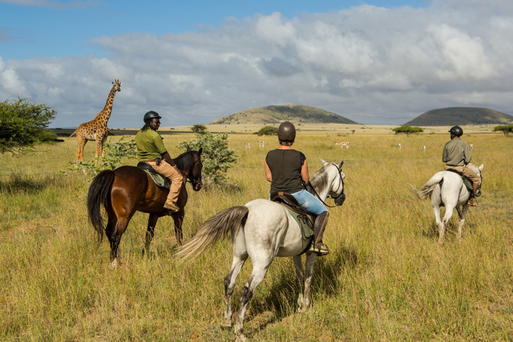 Kenya Horseback Riding