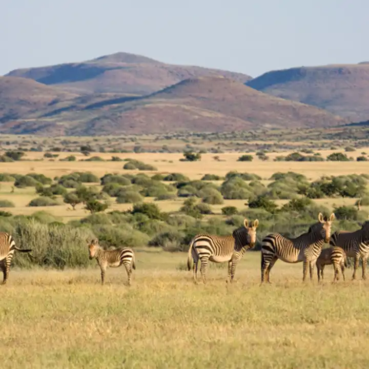 Best Places To Travel In March Luxury Namibia Travel Ker Downey