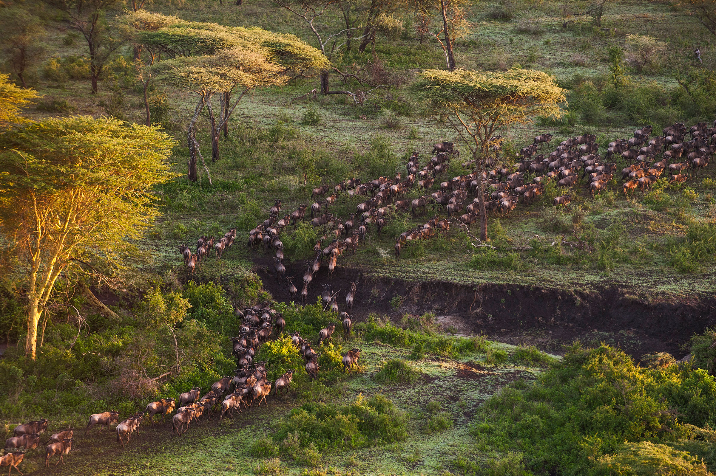 shoulder season safari in Tanzania