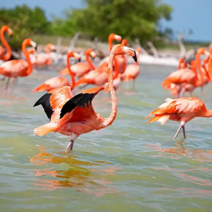 The Best Places To Travel In March Luxury Travel Ker Downey Mexico