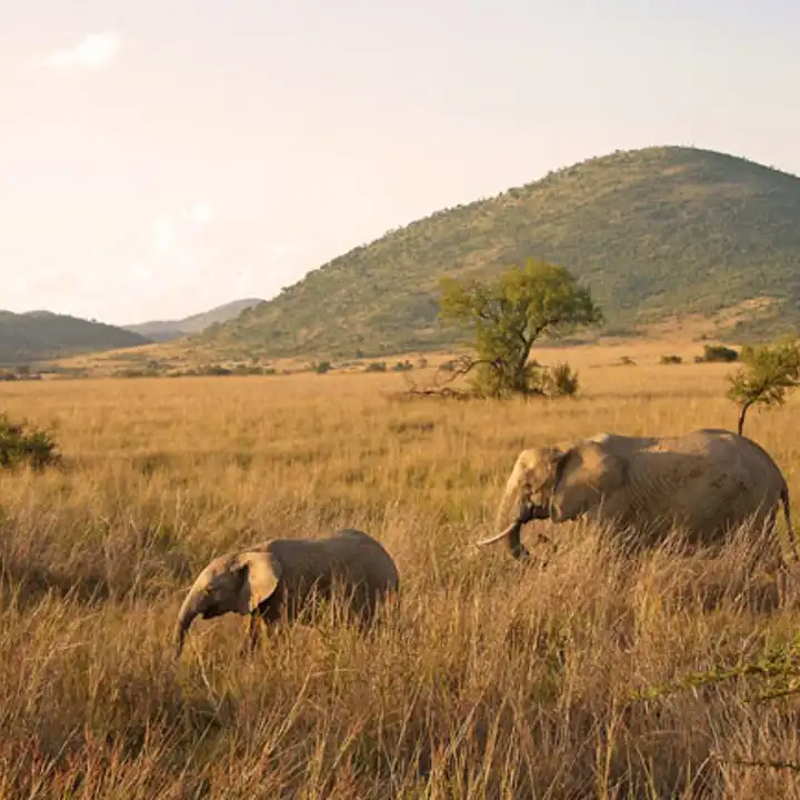 Best Places To Travel In October Luxury South Africa Travel Ker Downey