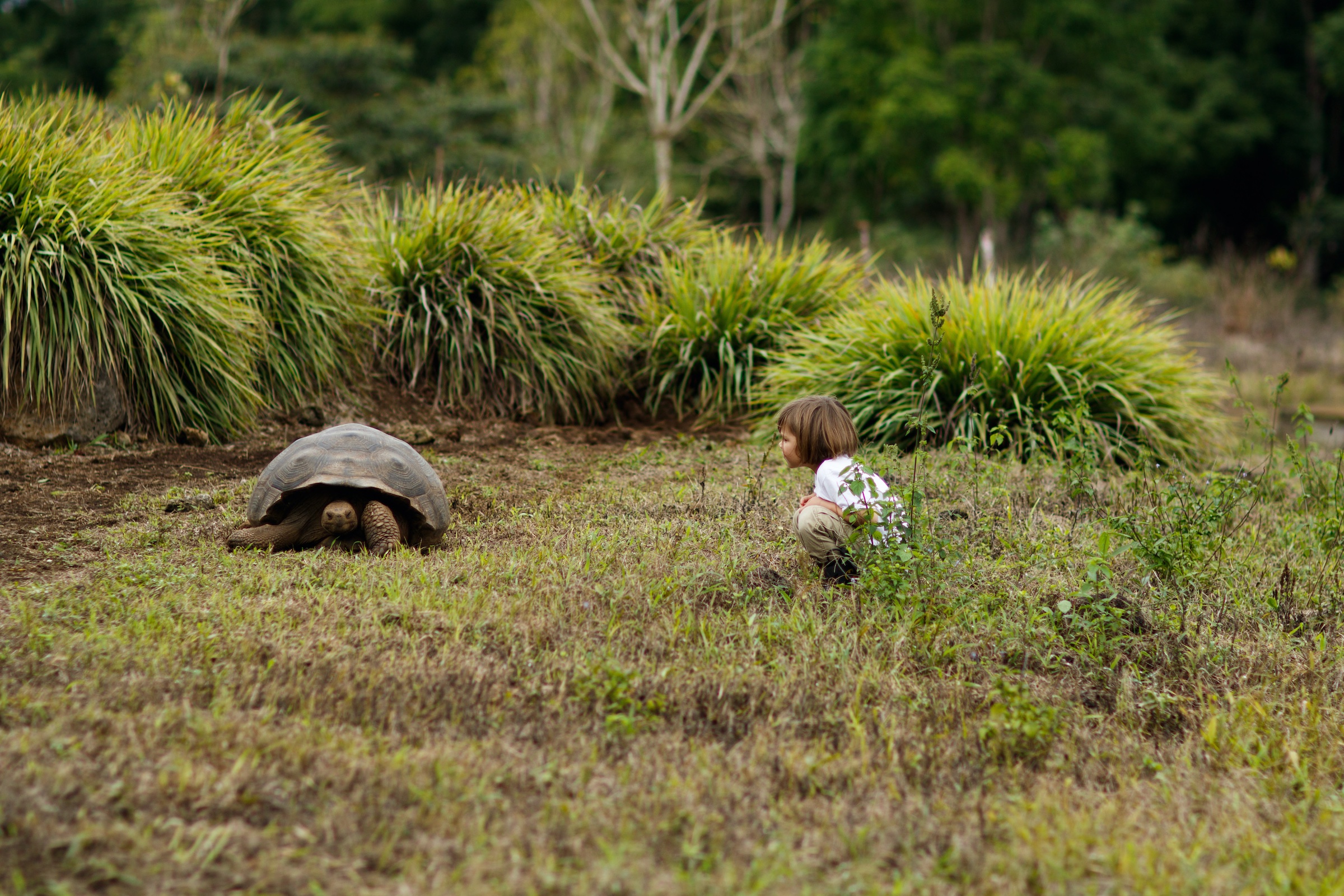 Galapagos Travel Guide - Travel to the Galapagos Islands - FAQ