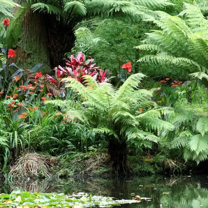 Azores Bucket List 15 Best Things To Do In The Azores 5. Botanical Gardens Octant Furnas