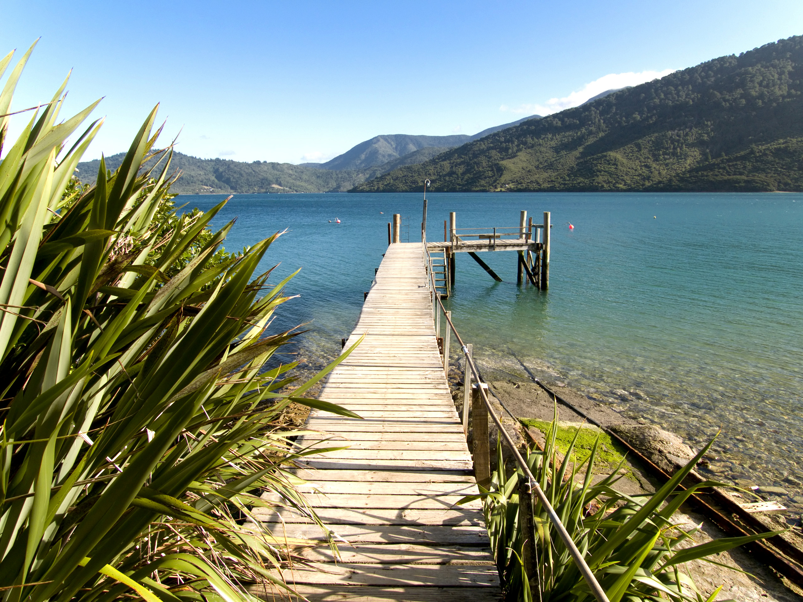 Best Time To Travel To New Zealand FEATURE
