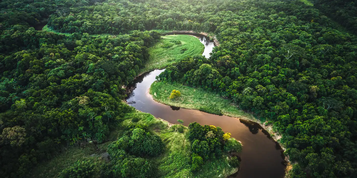 PeruvianAmazon