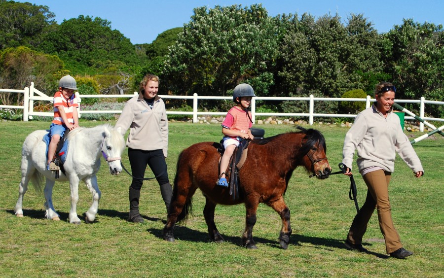 South African Safari for the Whole Family