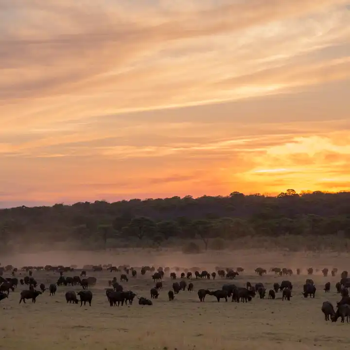 Matetsivictoriafalls