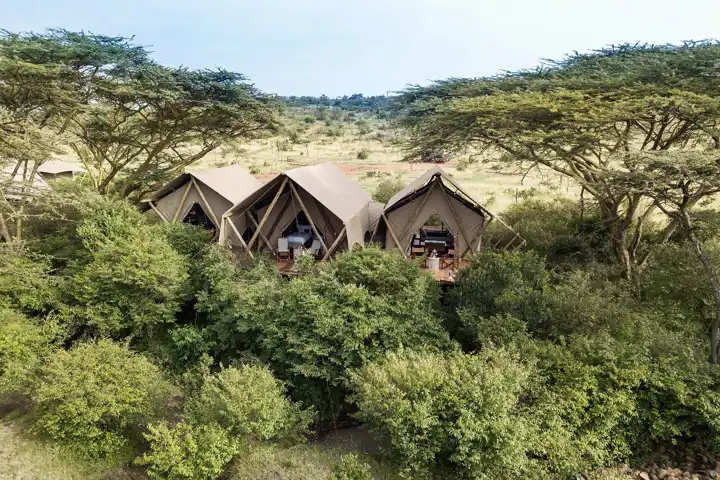 Great Plains Kenya Mara Nyika Camp Migration Safari