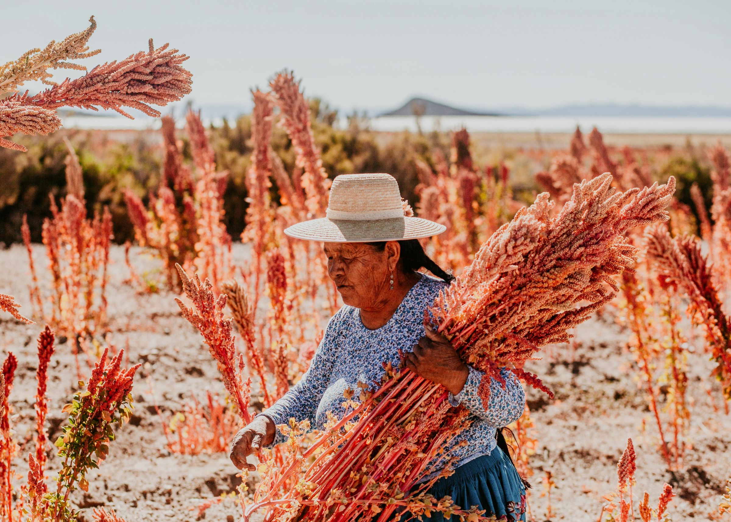 Bolivia