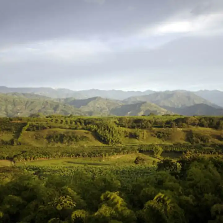 Best Places To Travel In July Colombia Coffee Ker Downey