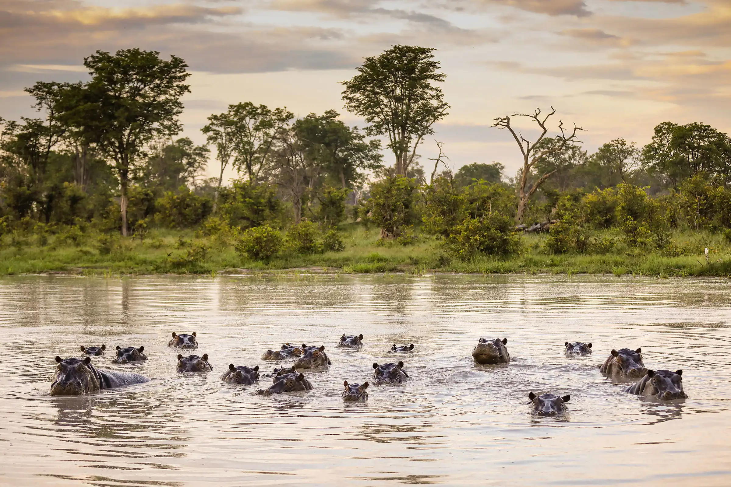 Luxury Botswana Safari -7 Reasons to Travel to the Okavango Delta | Ker ...