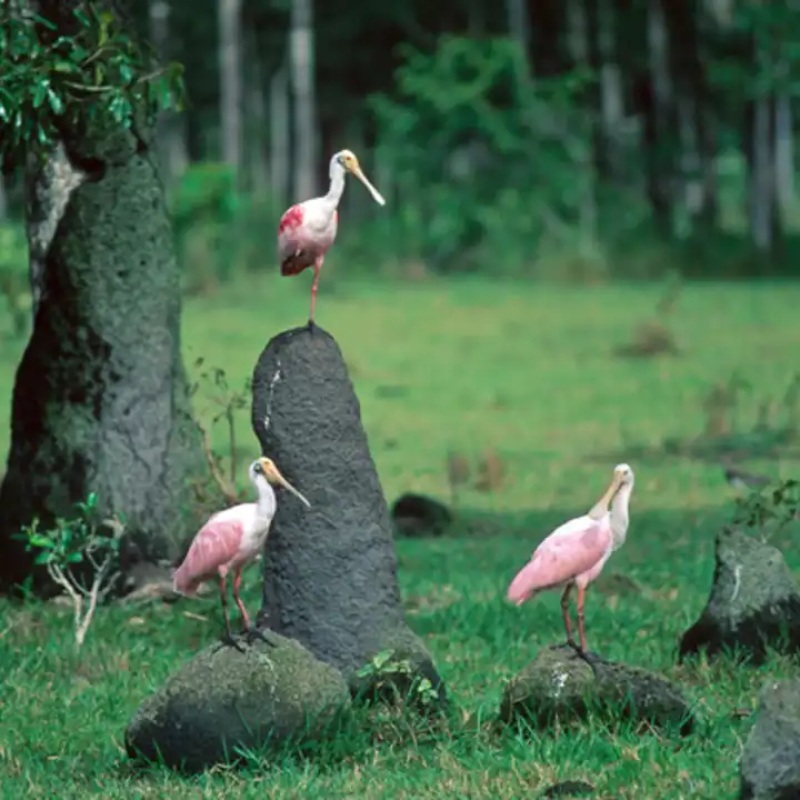 Best Places To Travel In September Brazil Ker Downey 1