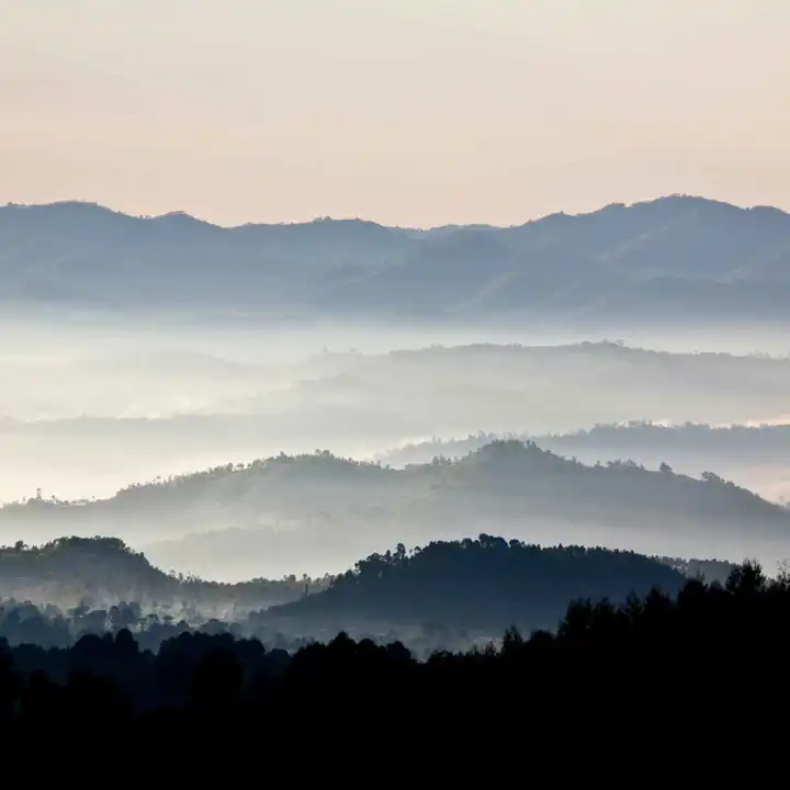 Rwanda Is It Safe Luxury Safari