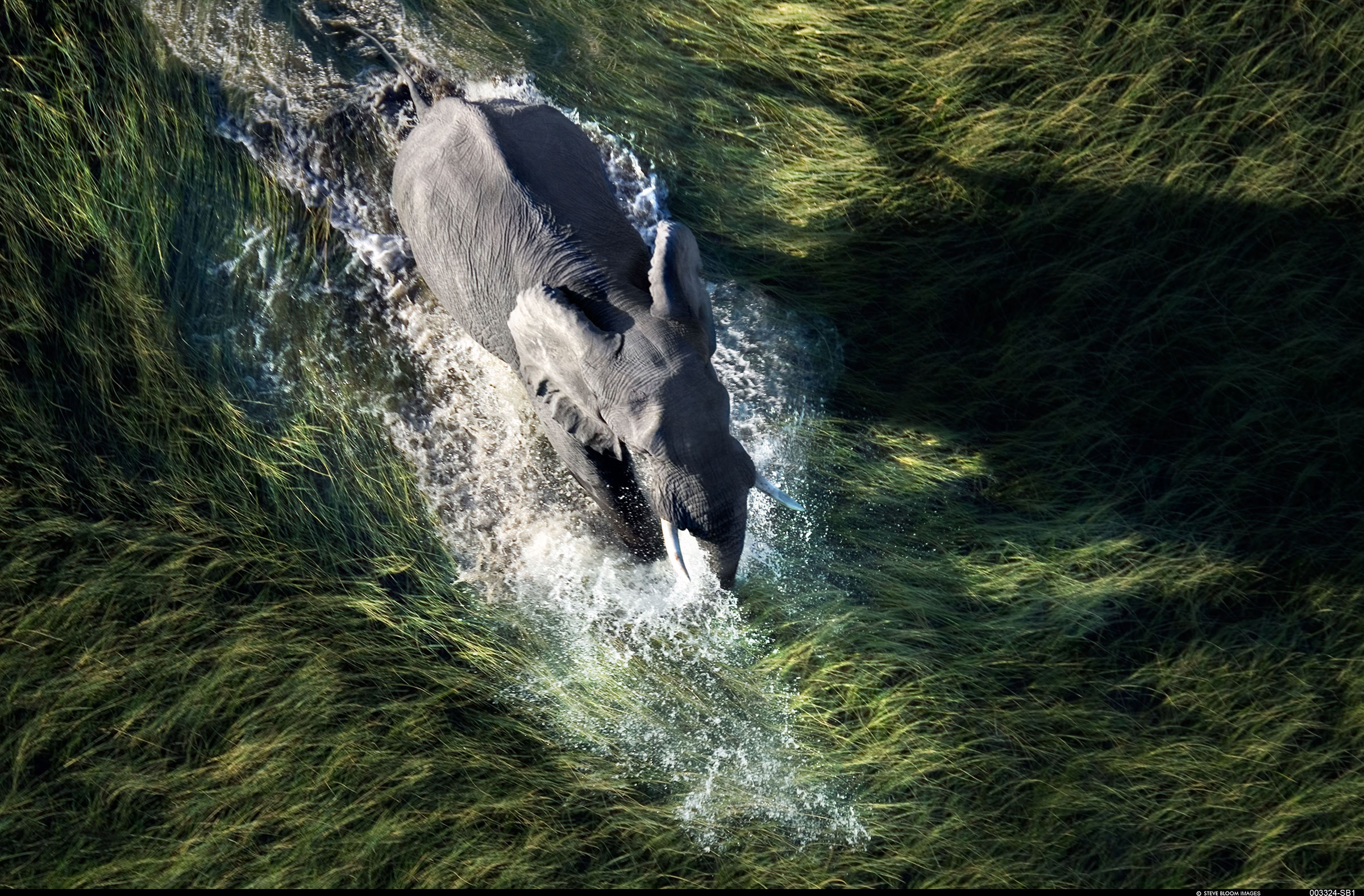 Okavango Delta Botswana