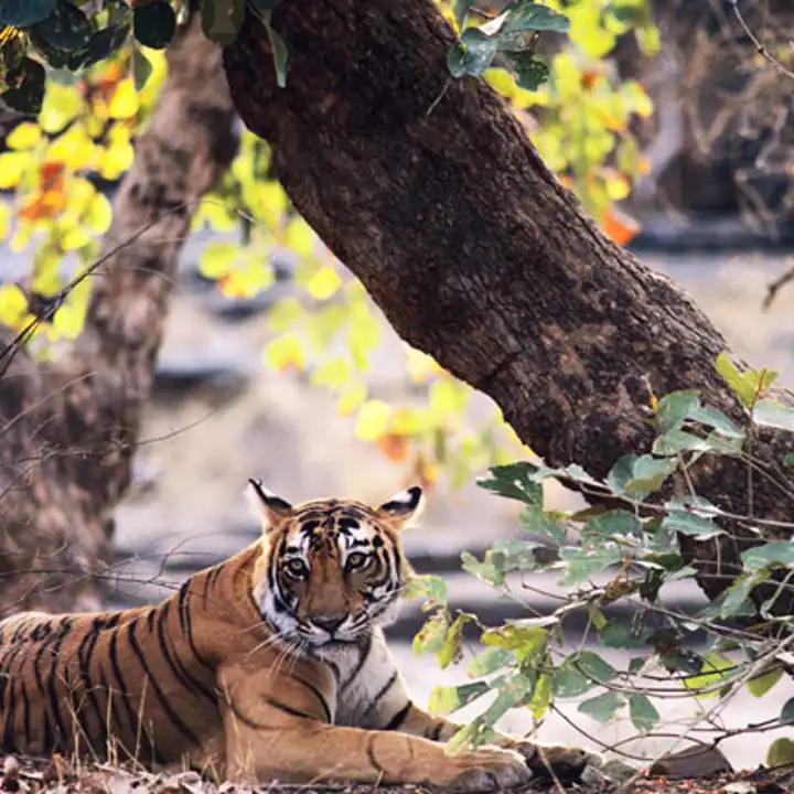 Best Places To Travel In May India Ker Downey 1
