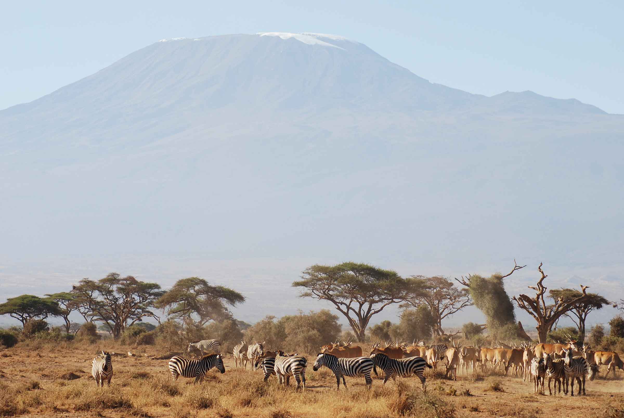 Amboseli National Park Kenya luxury safari