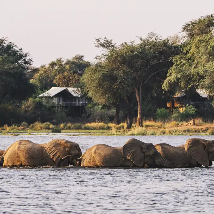 DSC01051_Anabezi