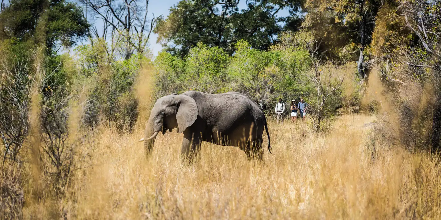 Machaba_Camps
