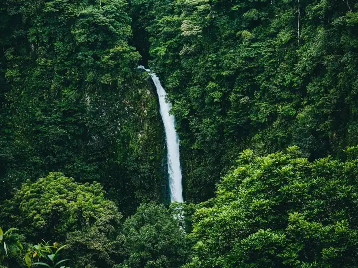 Fabio Fistarol 8Iychd8zzyc Unsplash