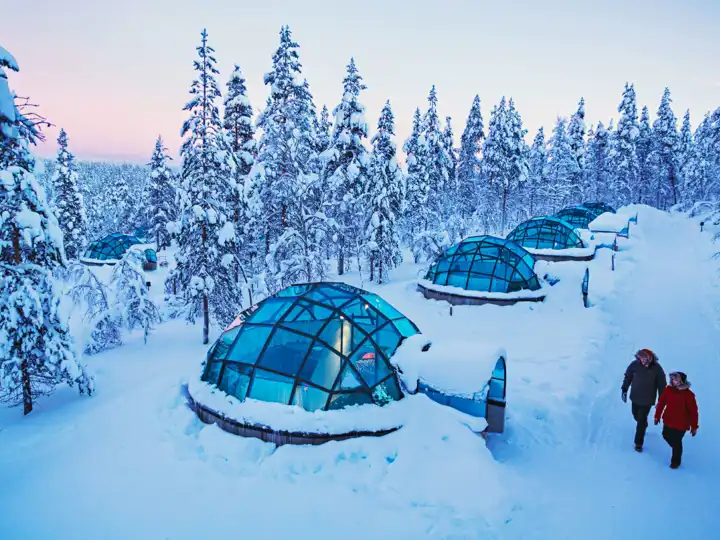 Animals Of The Arctic5 Kakslauttanen Glass Igloo