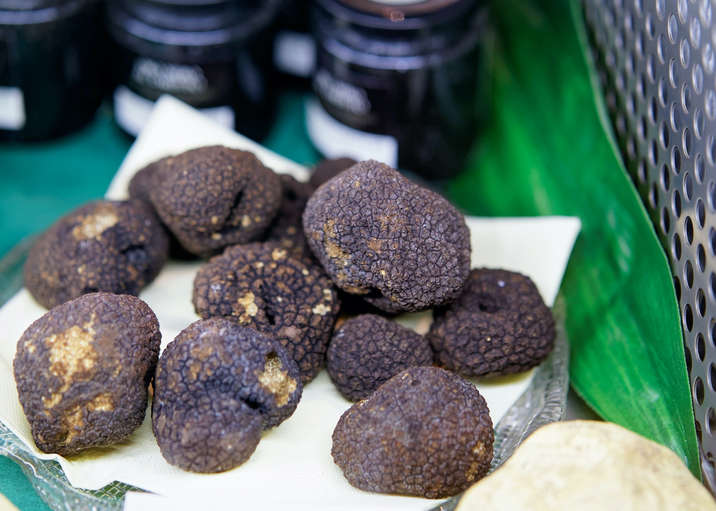 Truffle Hunting Around the World - Culinary Travel - Ker & Downey