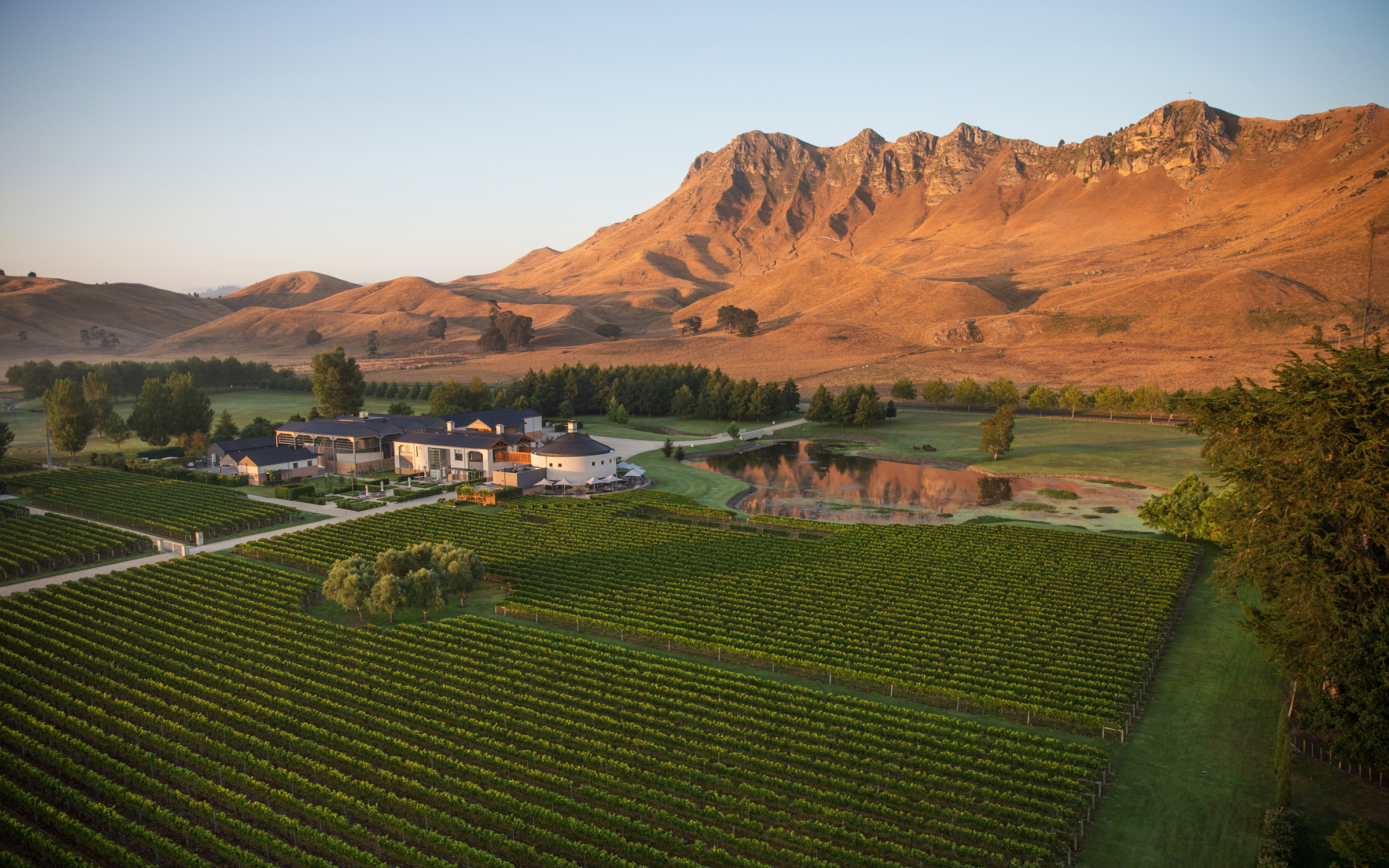 Website Newzealand Hero Image