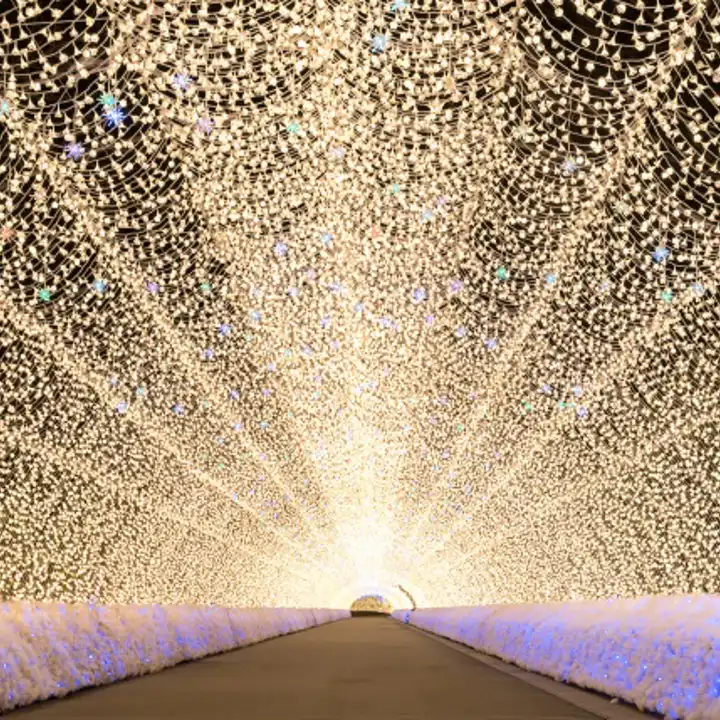 Best Places To Travel In November Luxury November Travel Japan