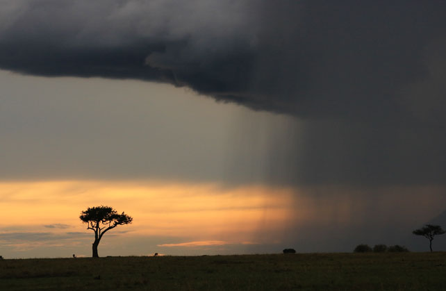 17 Jaw Dropping African Photos and how we captured them