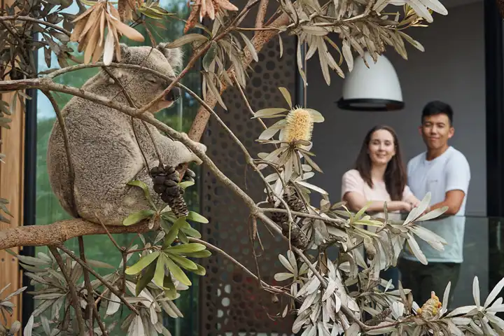 The Wildlife Retreat At Taronga FEATURE
