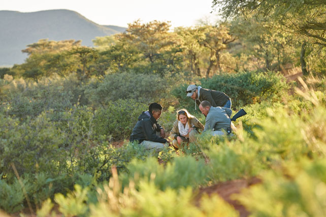 South Africa safari