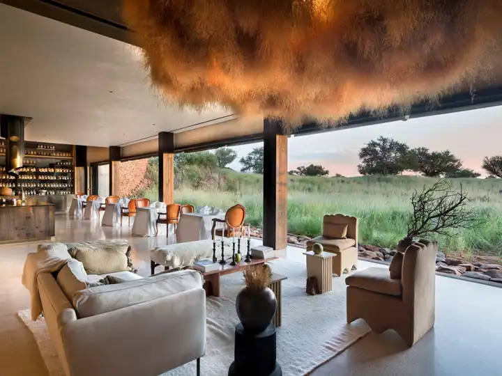 Best Dining Experiences Klein JAN To Credit Dook