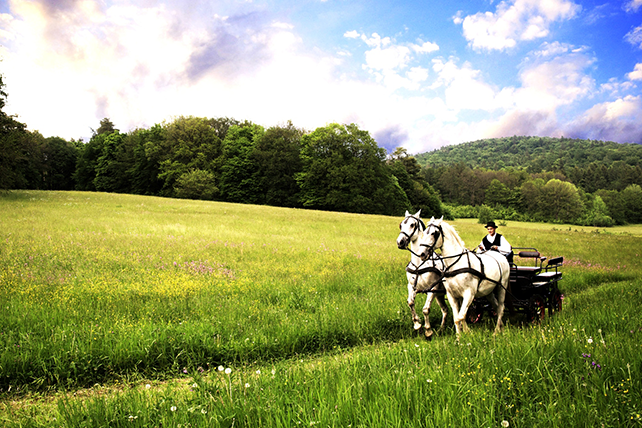 Bulgaria Romania Adventure Bulgaria Romania Travel Ker Downey