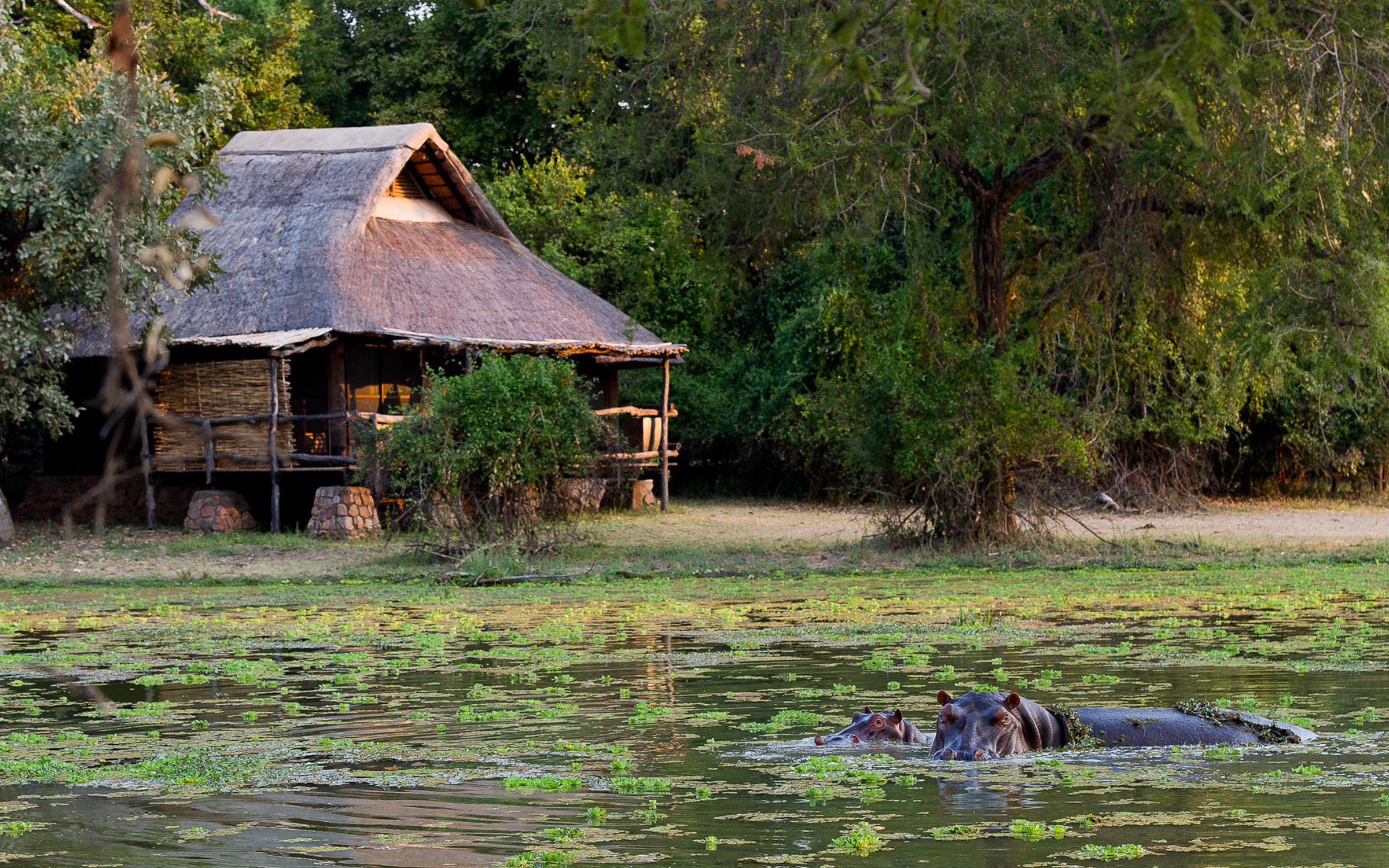 Mfuwe Lodge