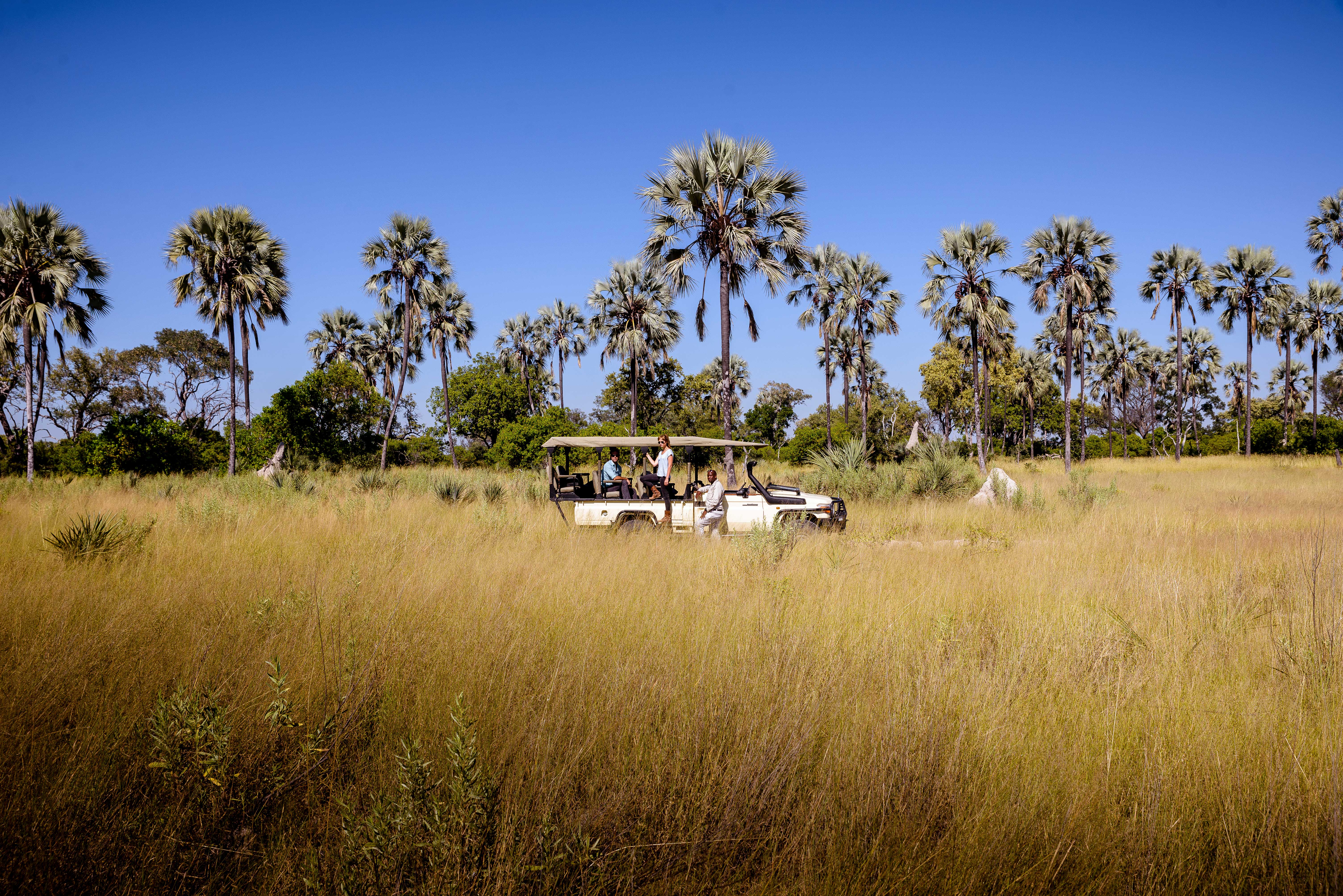 Sanctuary_Chiefs_Safari