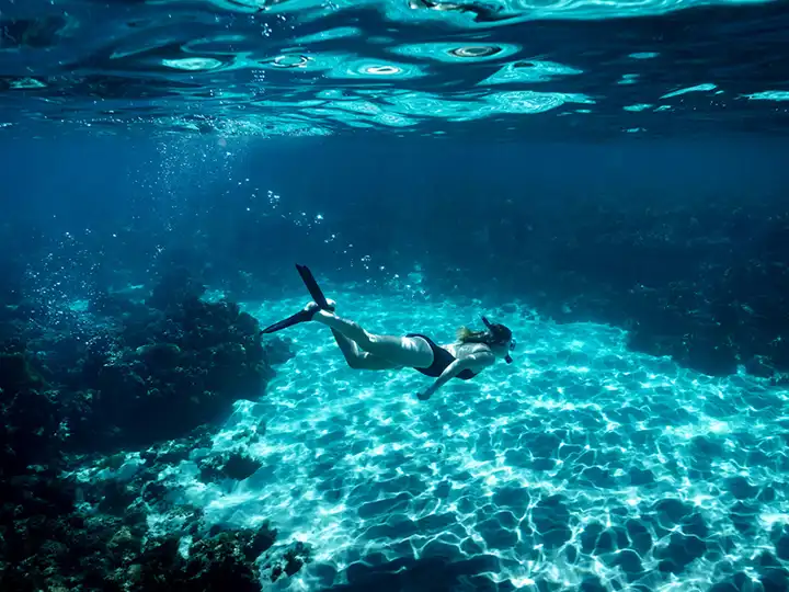 Lord Howe Island Capella Lodge Snorkeling