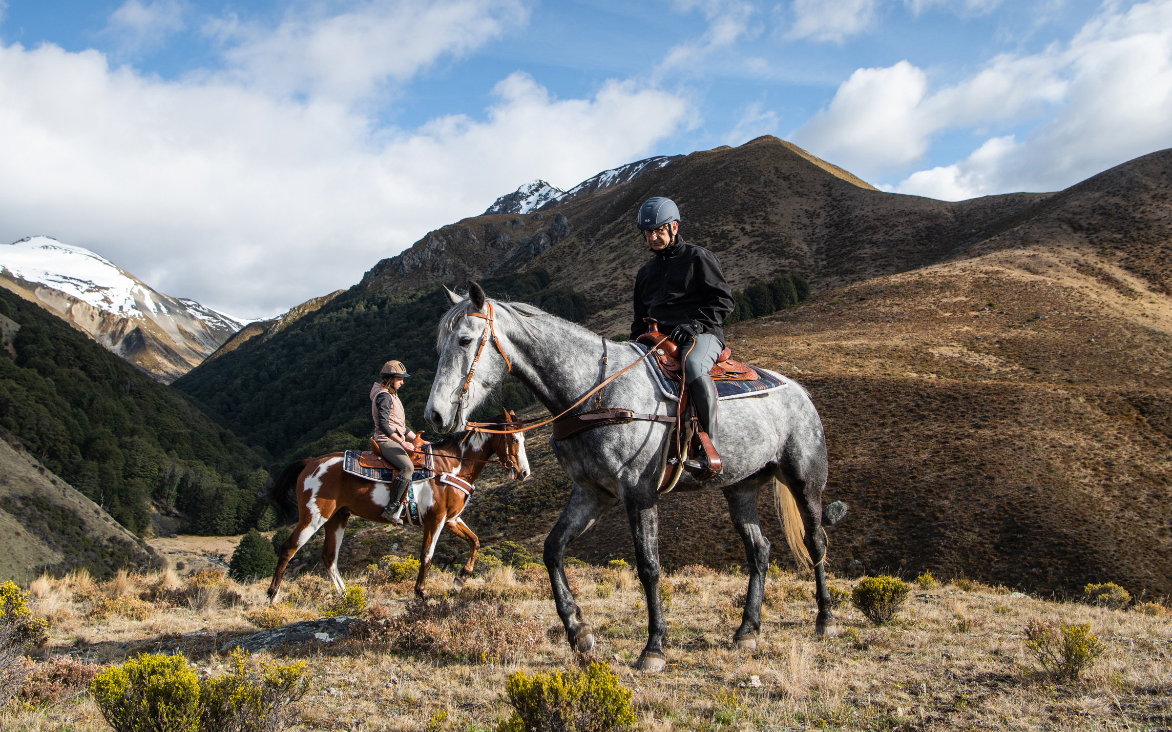 luxury tour of new zealand