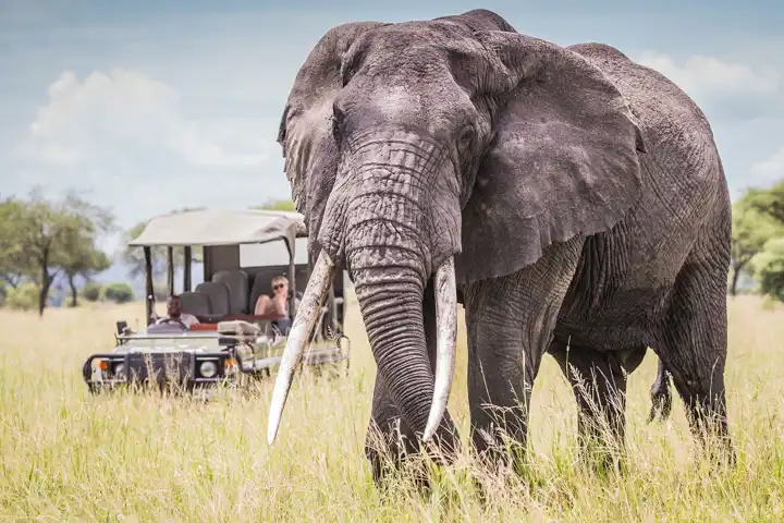 A Kenya And Tanzania Luxury Safari HERO Chemchemsafarilodge
