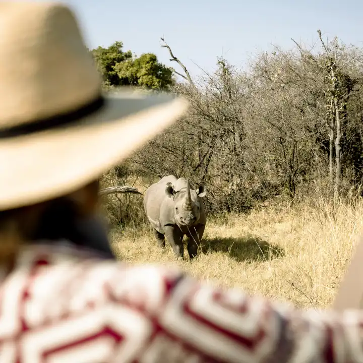 Botswana Sanctuary Chiefs Camp