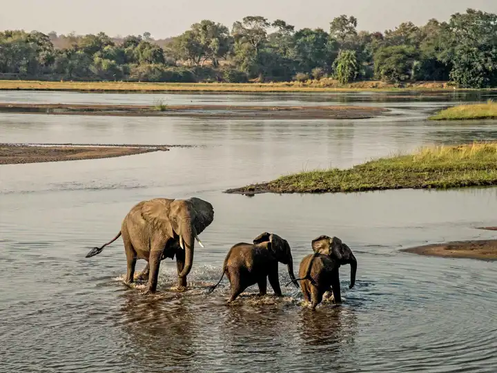 Sapi Reserve Greater Mana Expedition