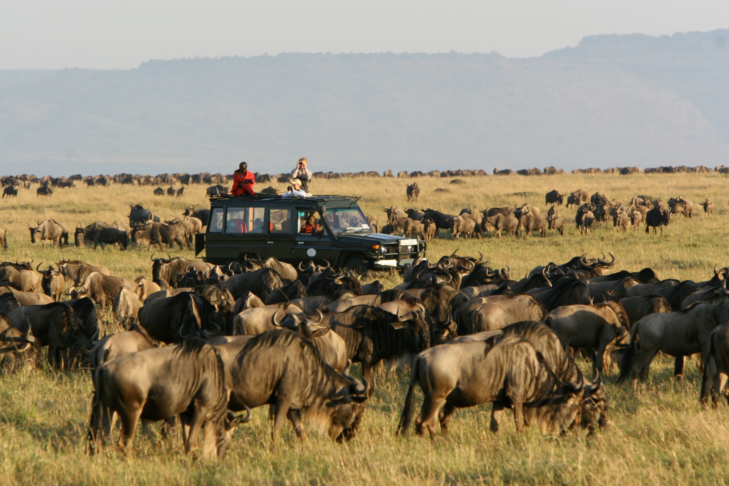 Great Migration Safari | Luxury Tanzania Safari