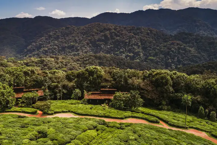 Rwanda One&Only Nyungwe House