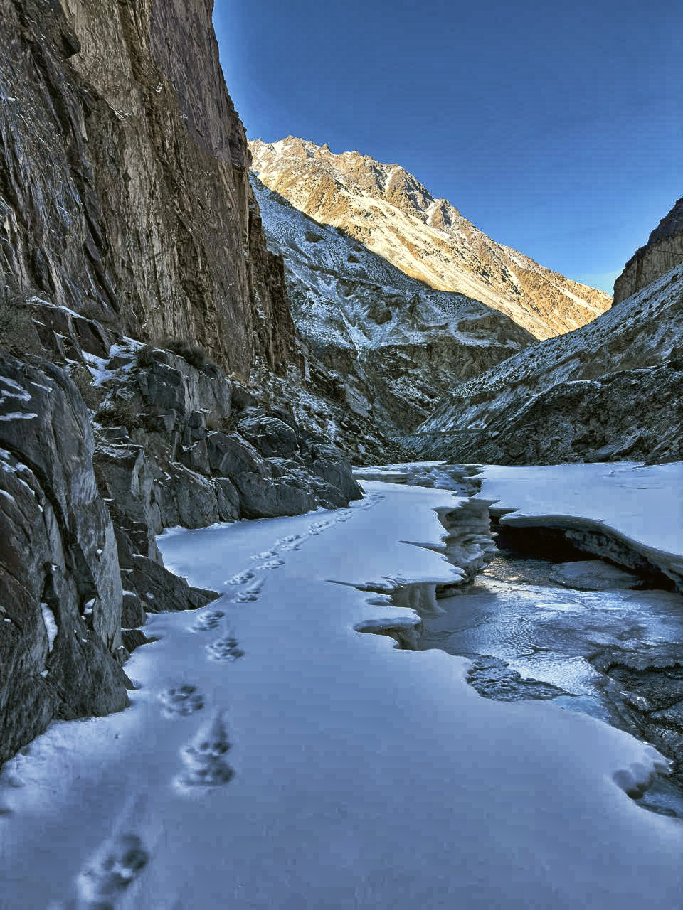 Tracks in the Snow - Pakistan Snow Leopard Photography Tour with Ker & Downey World Travel