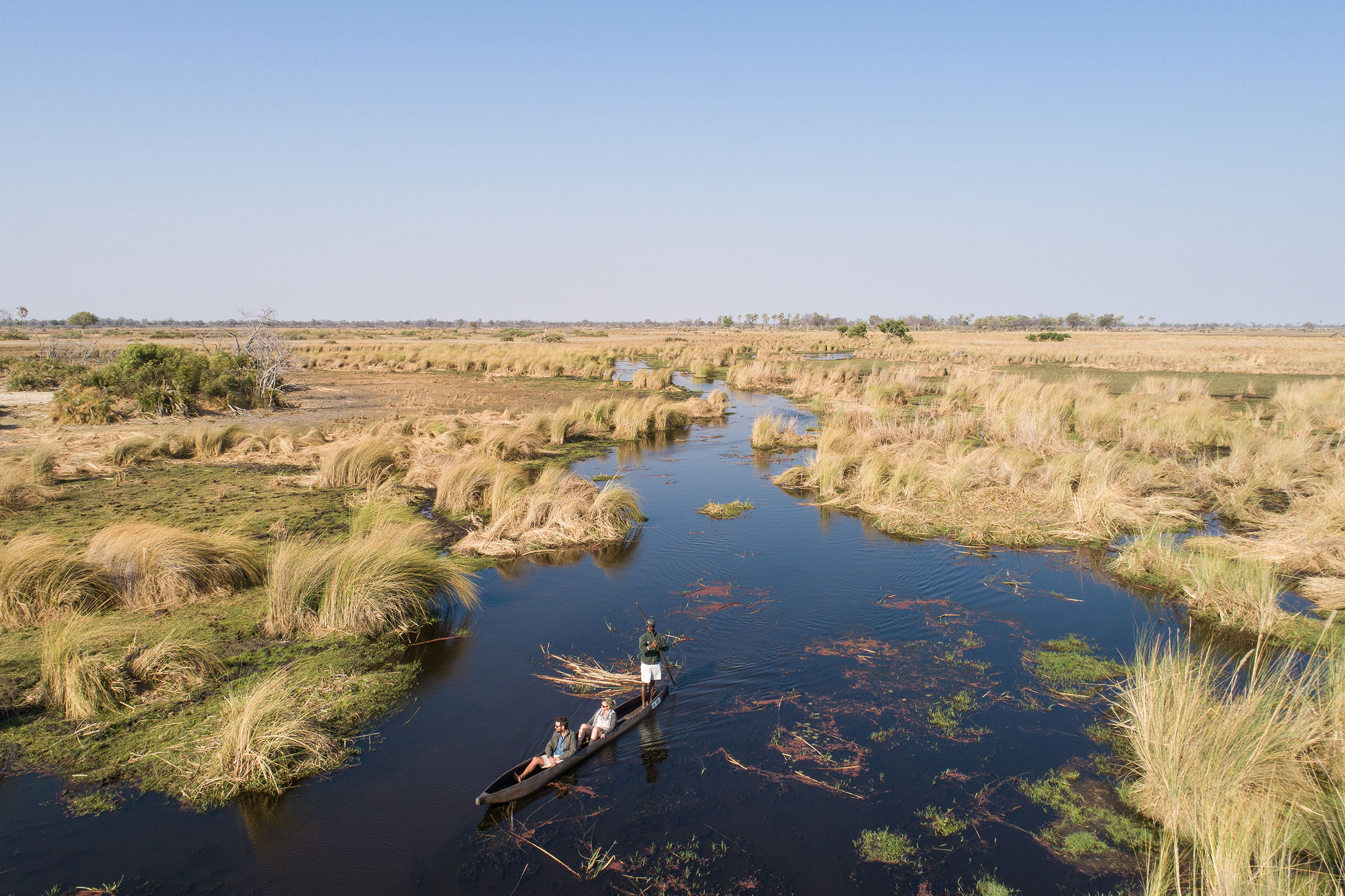 heronry at Kanana - Okavango Delta - Luxury Botswana Safari