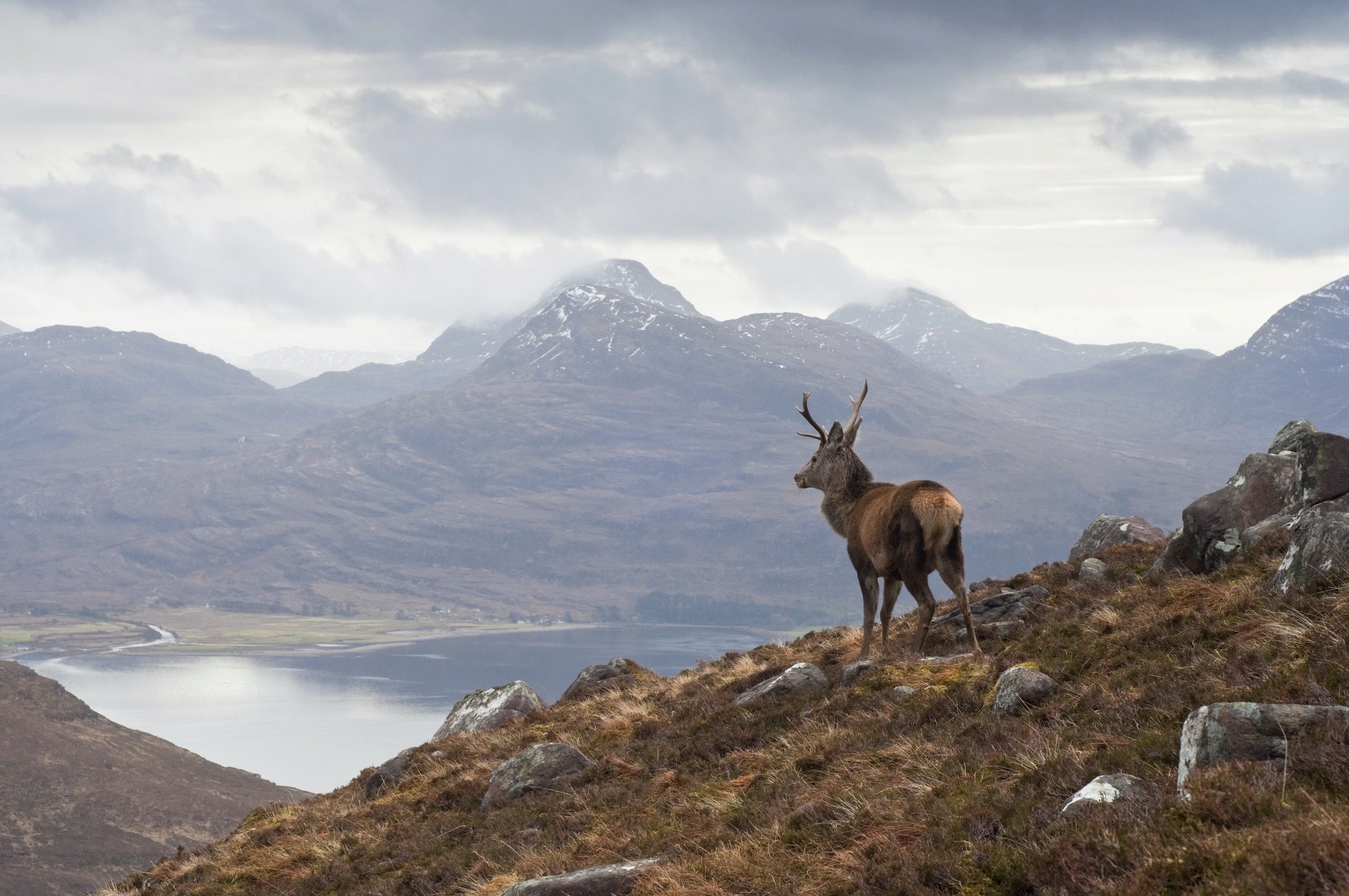 luxury rail journeys in scotland