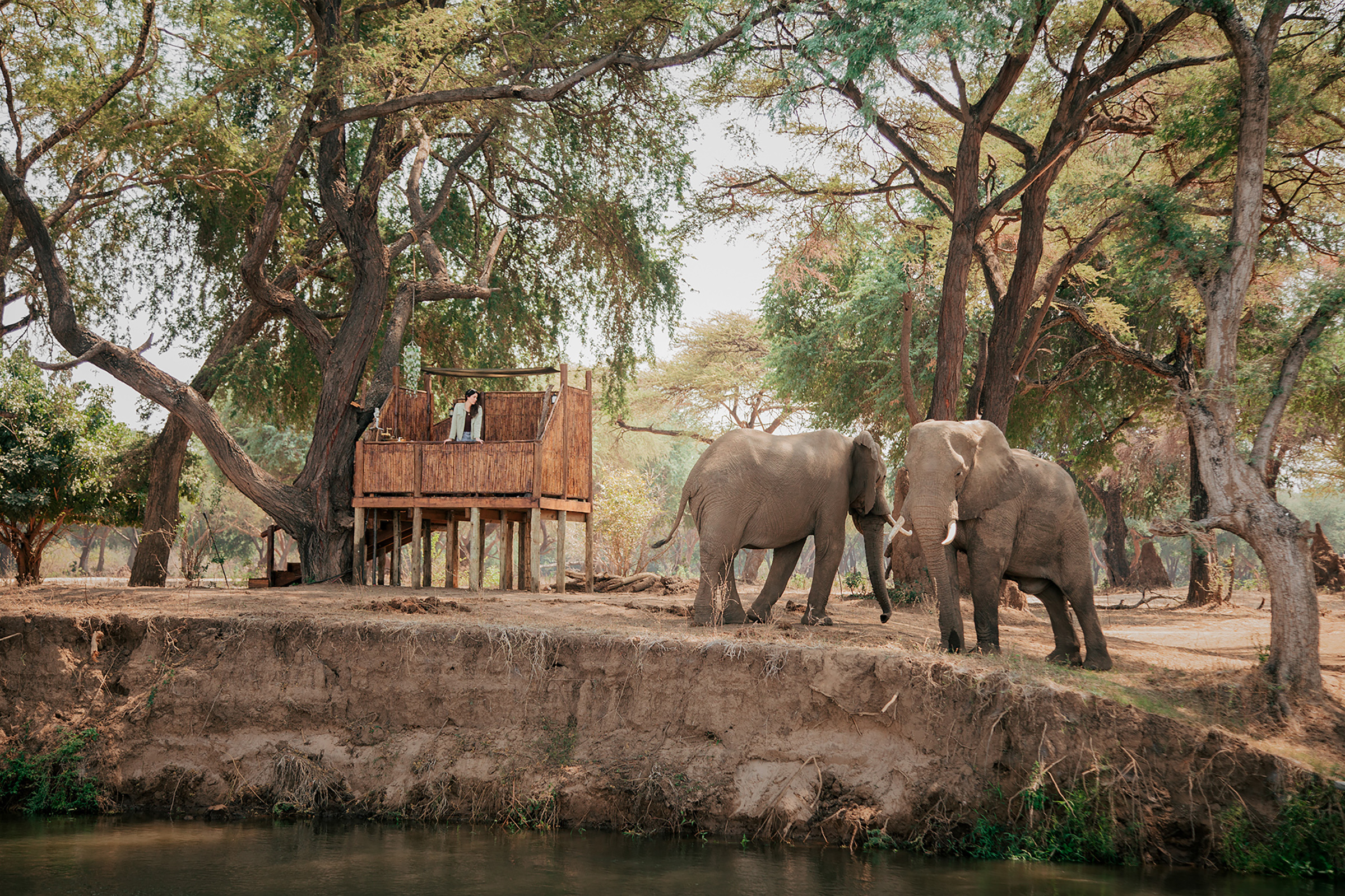 african safari camp renovation show