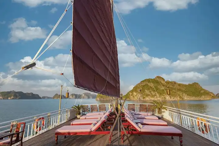 Halong Violet