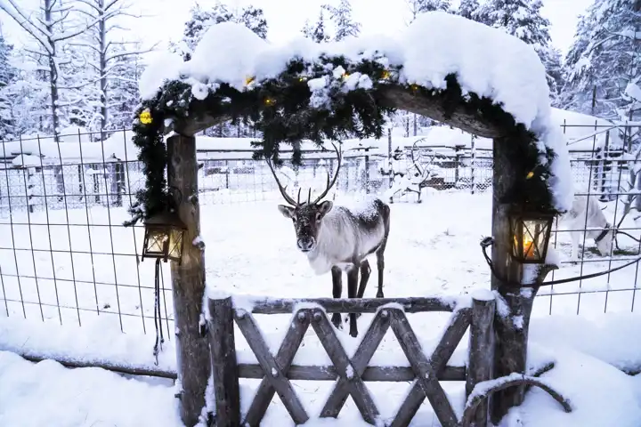 Finnish Lapland Holiday FEATURE