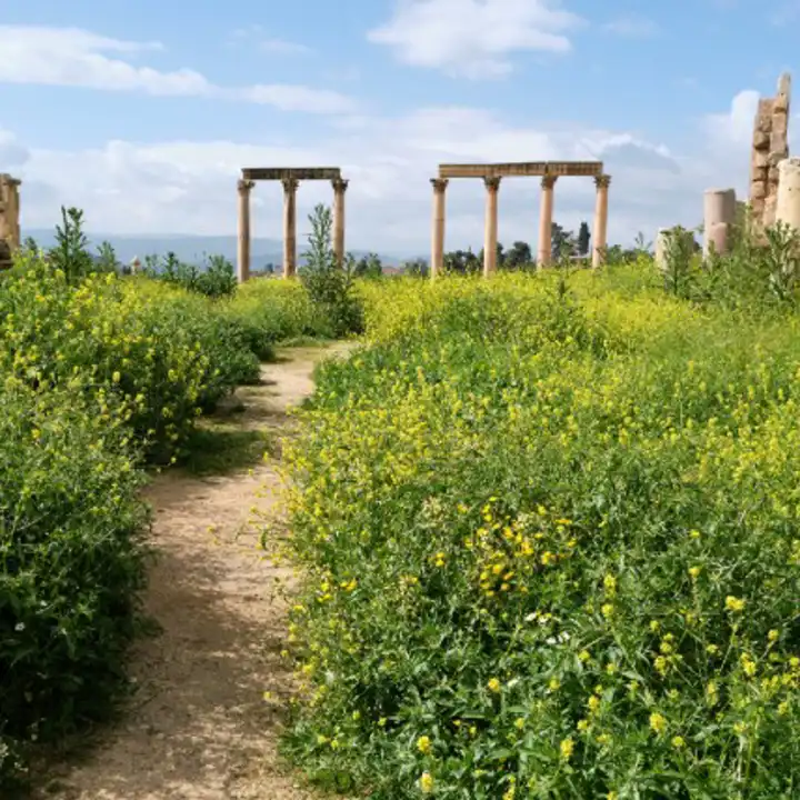 The Best Places To Travel In April Luxury Travel Ker Downey Jordan