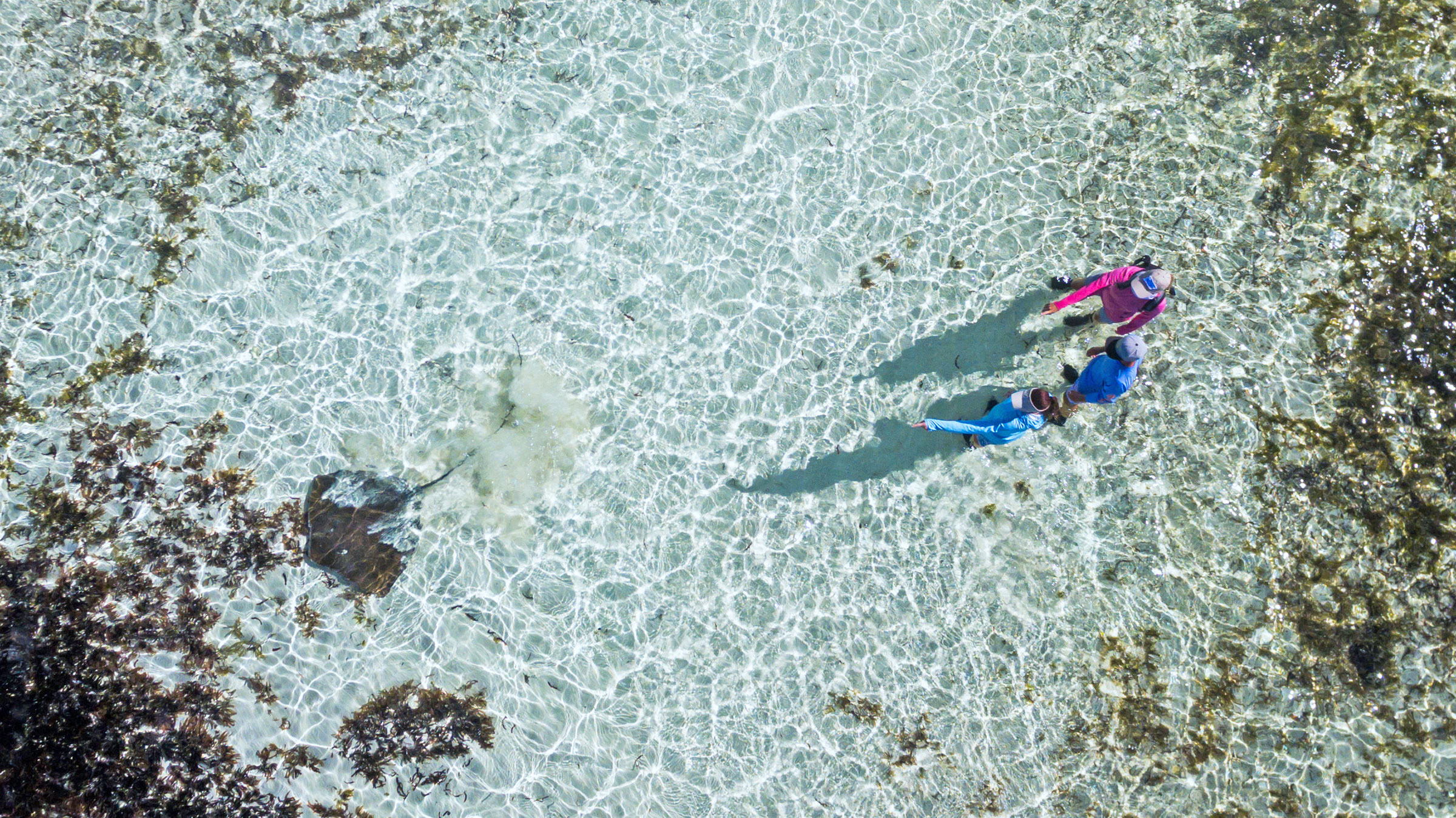 Alfonse guided walks with Blue Safari