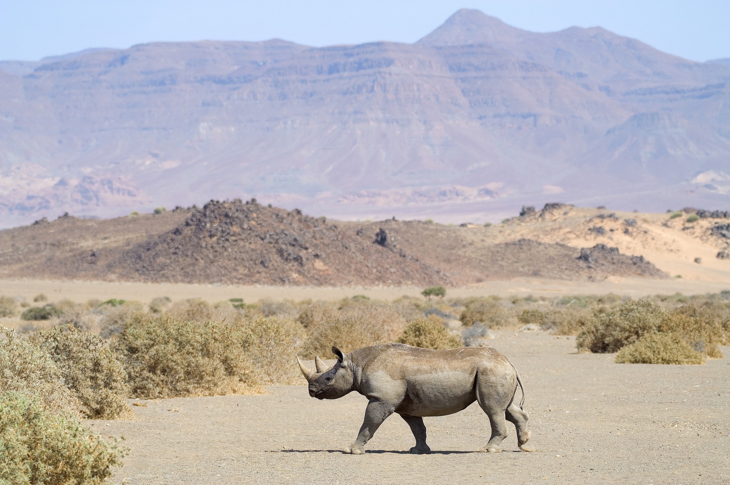 The Best Travel Experiences Around the World - Namibia
